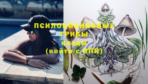 прущая мука Магадан