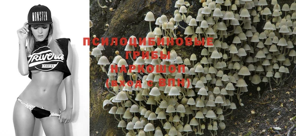 метадон Мегион