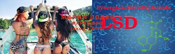 прущие грибы Майский