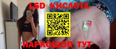 PSILOCYBIN Абакан