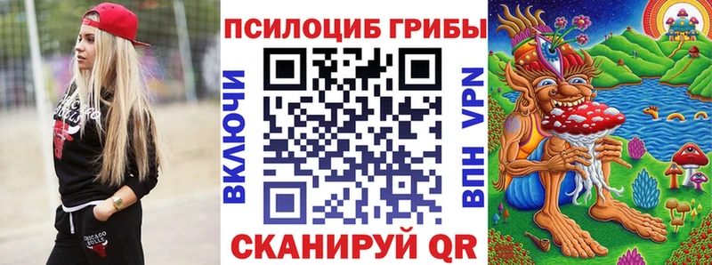 hydra как войти  Магадан  Псилоцибиновые грибы Magic Shrooms 