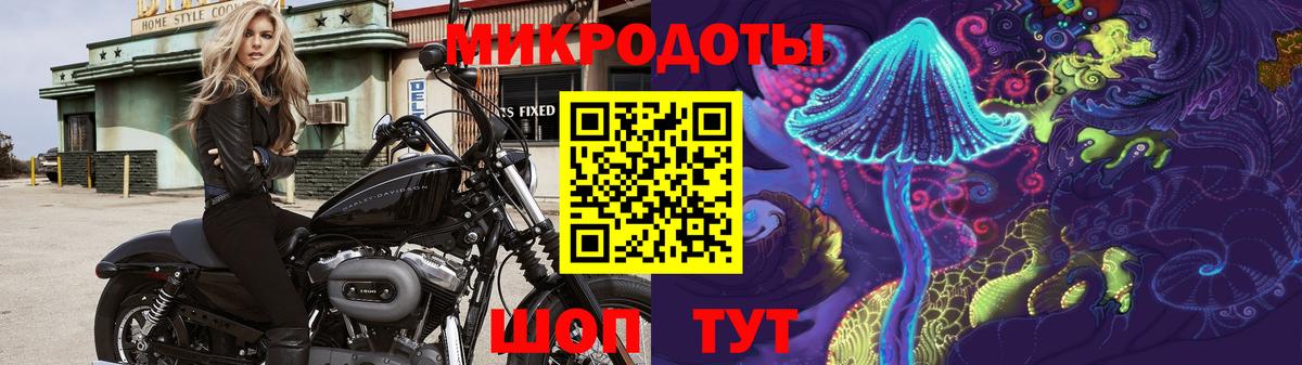 Магадан  Галлюциногенные грибы ЛСД  Вход с VPN 